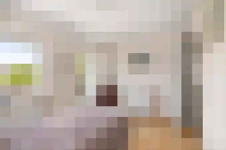Koningin Wilhelminastraat 6 Olst thumbnail 22