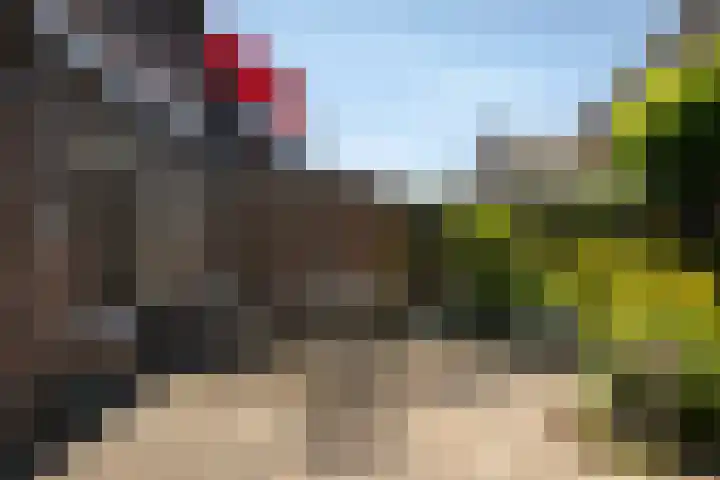 Koningin Wilhelminastraat 6 Olst thumbnail 24