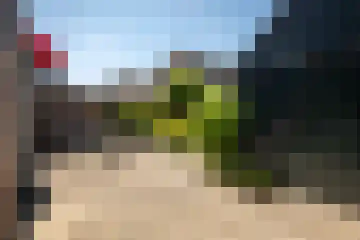 Koningin Wilhelminastraat 6 Olst thumbnail 25