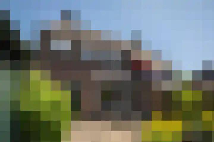 Koningin Wilhelminastraat 6 Olst thumbnail 28