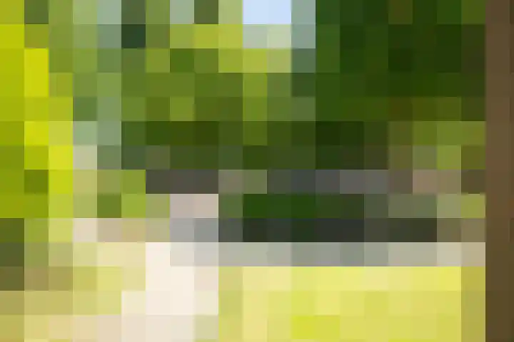 Koningin Wilhelminastraat 6 Olst thumbnail 30