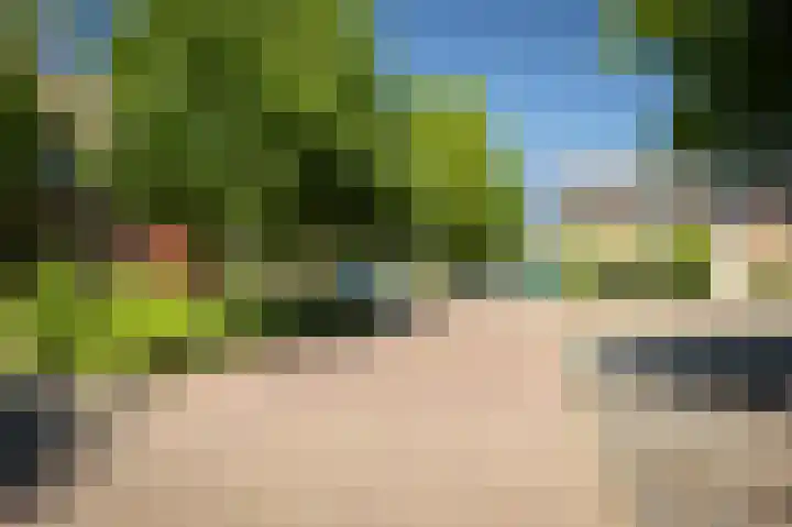 Koningin Wilhelminastraat 6 Olst thumbnail 32