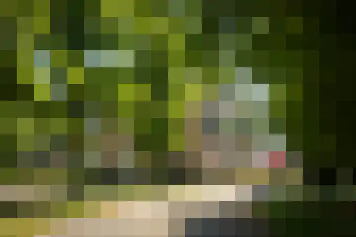 Koningin Wilhelminastraat 6 Olst thumbnail 34