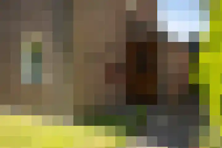 Koningin Wilhelminastraat 6 Olst thumbnail 36