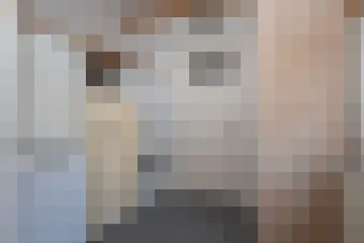 Koningin Wilhelminastraat 6 Woudenberg thumbnail 14
