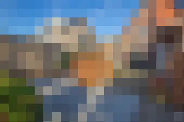 Koningin Wilhelminastraat 6 Woudenberg thumbnail 33