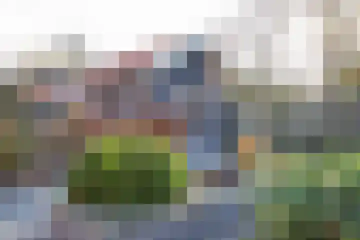 Koningin Wilhelminastraat 6 Woudenberg thumbnail 34