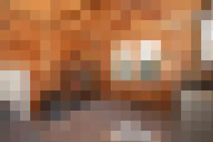 Koningin Wilhelminastraat 6 Woudenberg thumbnail 36