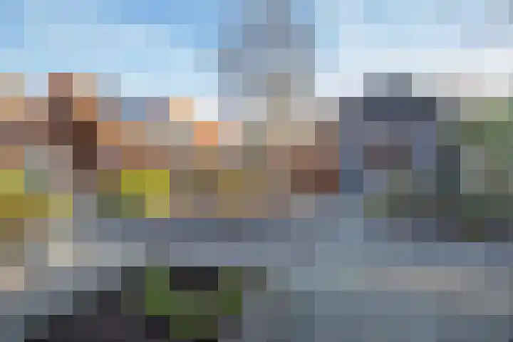 Koningin Wilhelminastraat 6 Woudenberg thumbnail 37