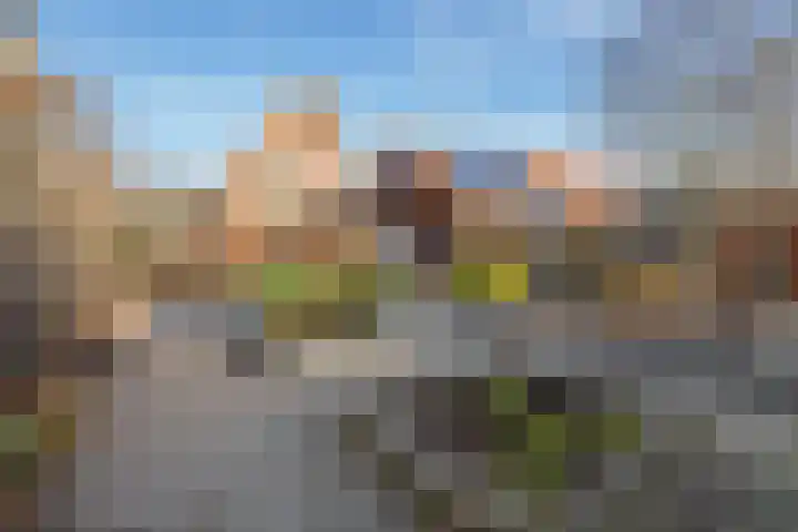 Koningin Wilhelminastraat 6 Woudenberg thumbnail 40