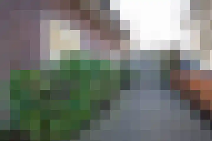 Koningin Wilhelminastraat 6 Woudenberg thumbnail 45