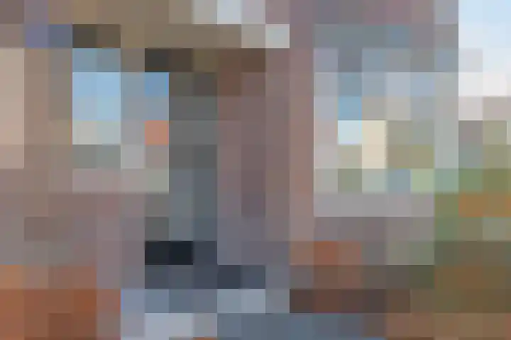 Koningin Wilhelminastraat 6 Woudenberg thumbnail 6