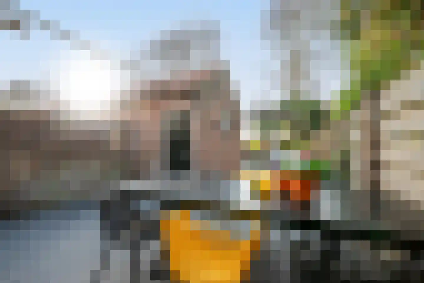 Koningin Wilhelminastraat 61 Arkel thumbnail 23
