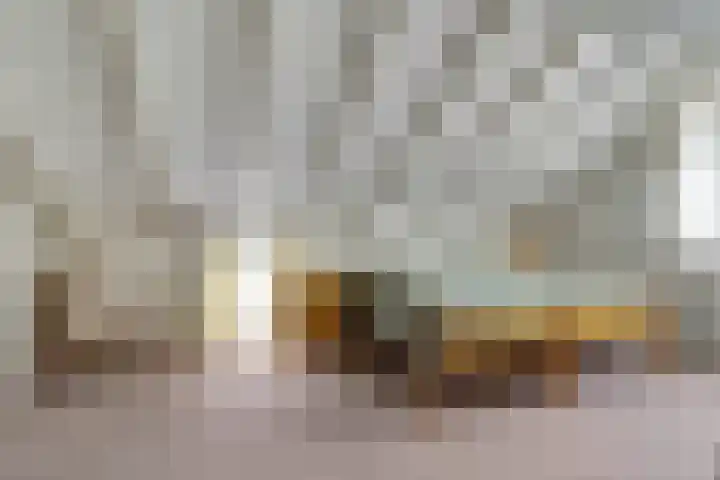 Koningin Wilhelminastraat 74 Elst thumbnail 24