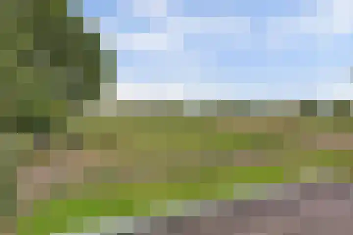 Koningin Wilhelminastraat 74 Elst thumbnail 28