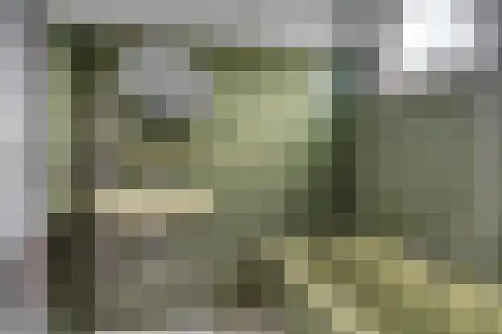 Koningin Wilhelminastraat 74 Elst thumbnail 30