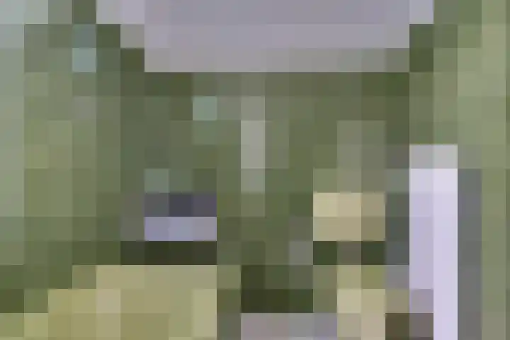 Koningin Wilhelminastraat 74 Elst thumbnail 31