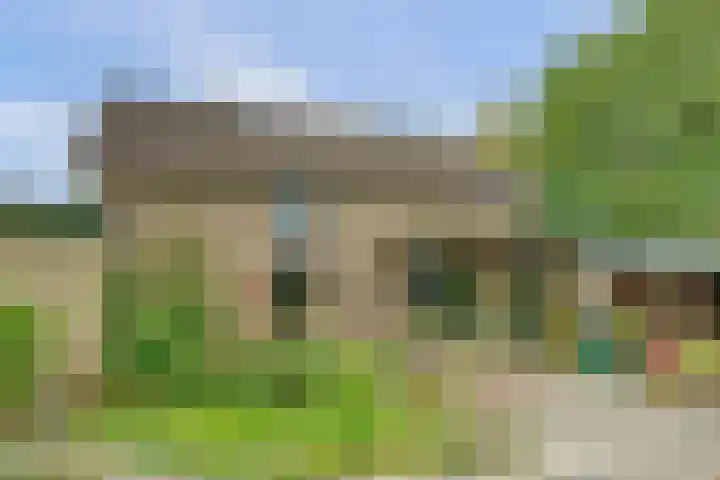 Koningin Wilhelminastraat 74 Elst thumbnail 34