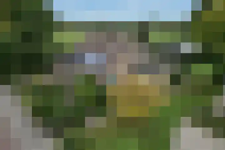 Koningin Wilhelminastraat 74 Elst thumbnail 39