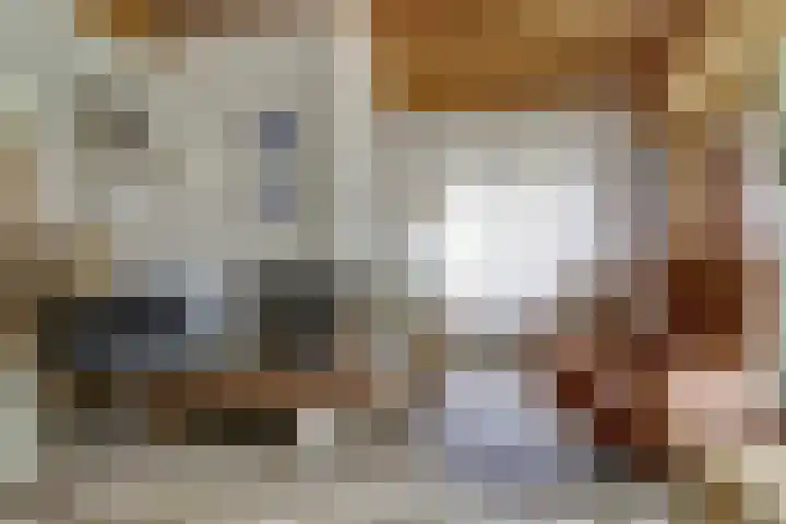 Koningin Wilhelminastraat 74 Elst thumbnail 7