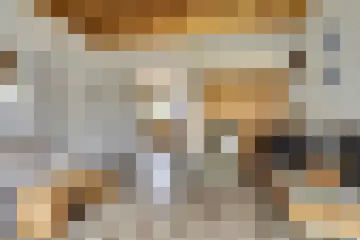 Koningin Wilhelminastraat 74 Elst thumbnail 8
