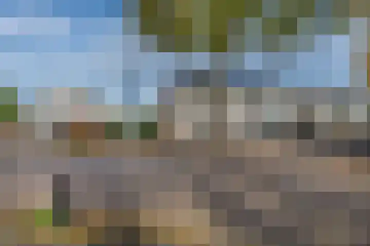 Koningin Wilhelminastraat 79 Hedel thumbnail 28