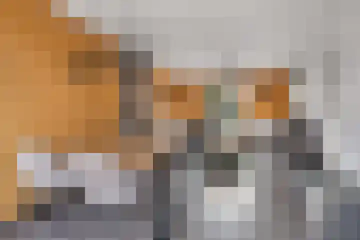 Koningin Wilhelminastraat 79 Hedel thumbnail 7