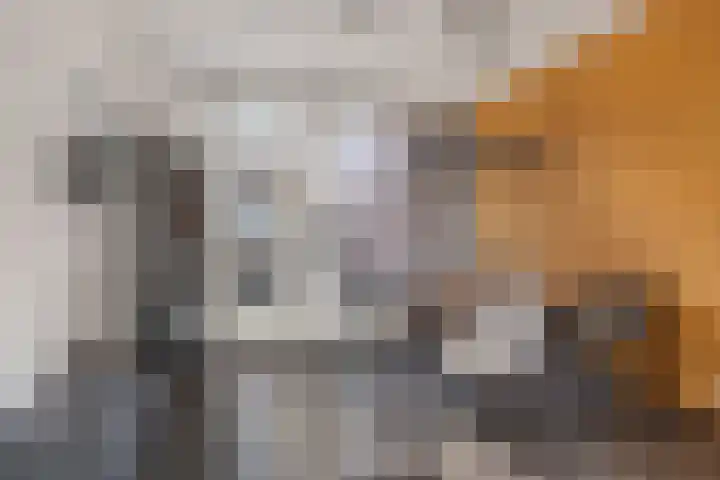 Koningin Wilhelminastraat 79 Hedel thumbnail 9