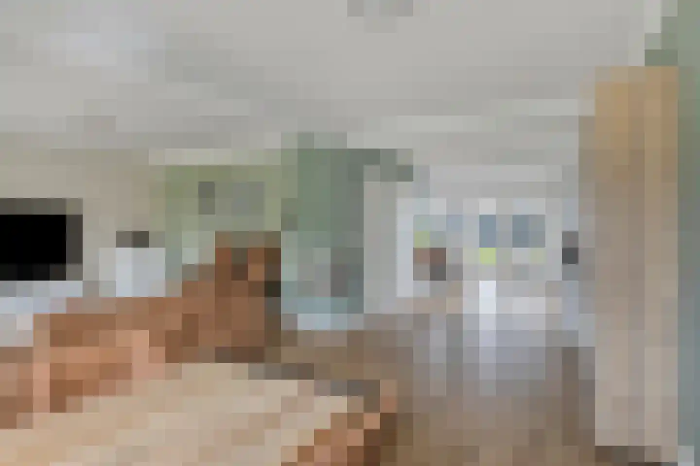 Koningin Wilhelminastraat 8 Kloetinge thumbnail 11