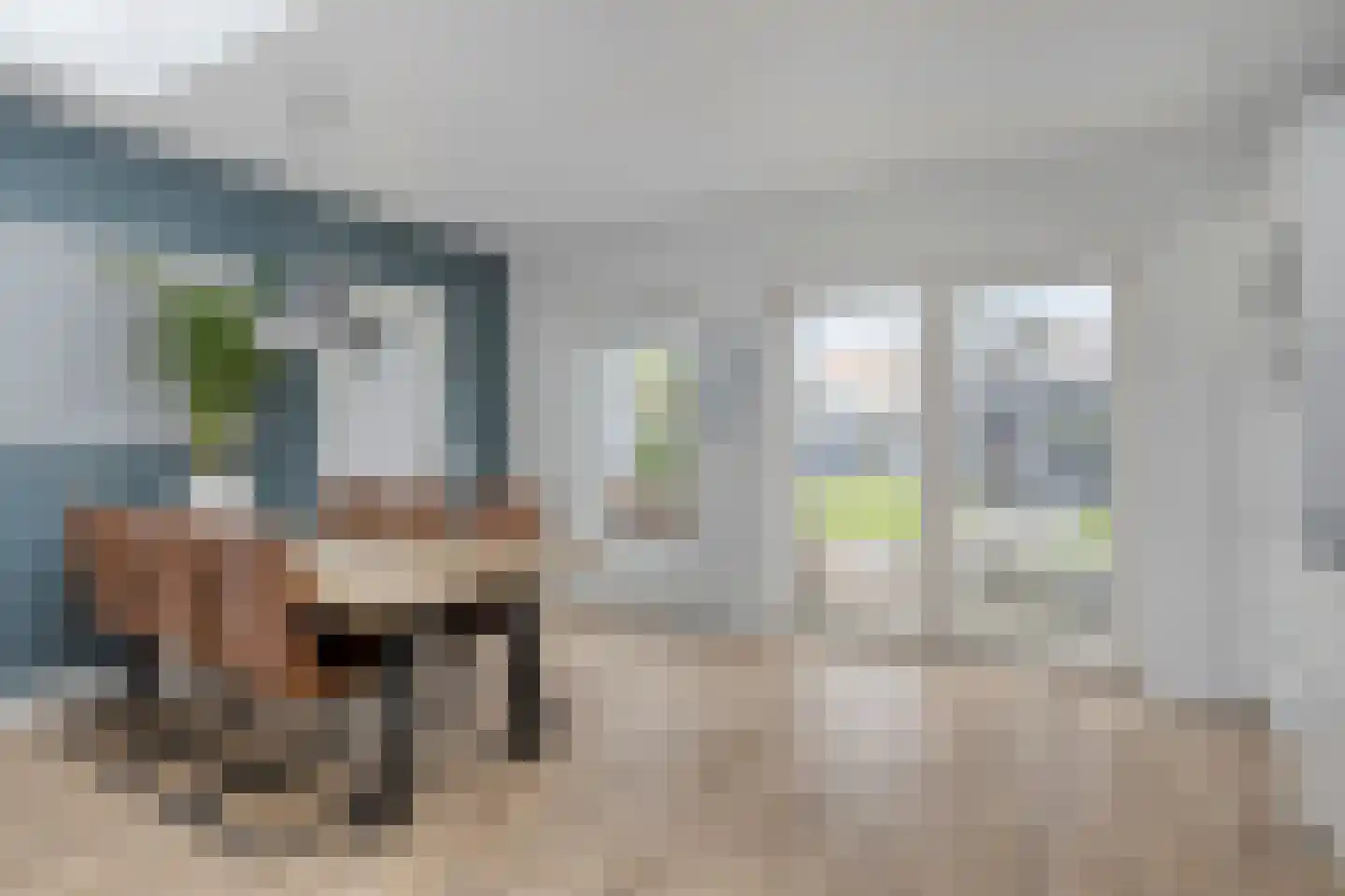 Koningin Wilhelminastraat 8 Kloetinge thumbnail 16