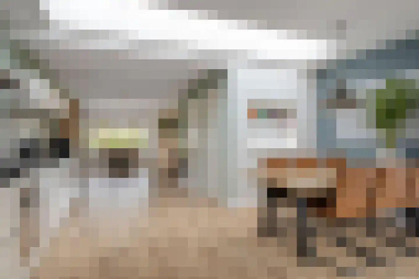 Koningin Wilhelminastraat 8 Kloetinge thumbnail 17