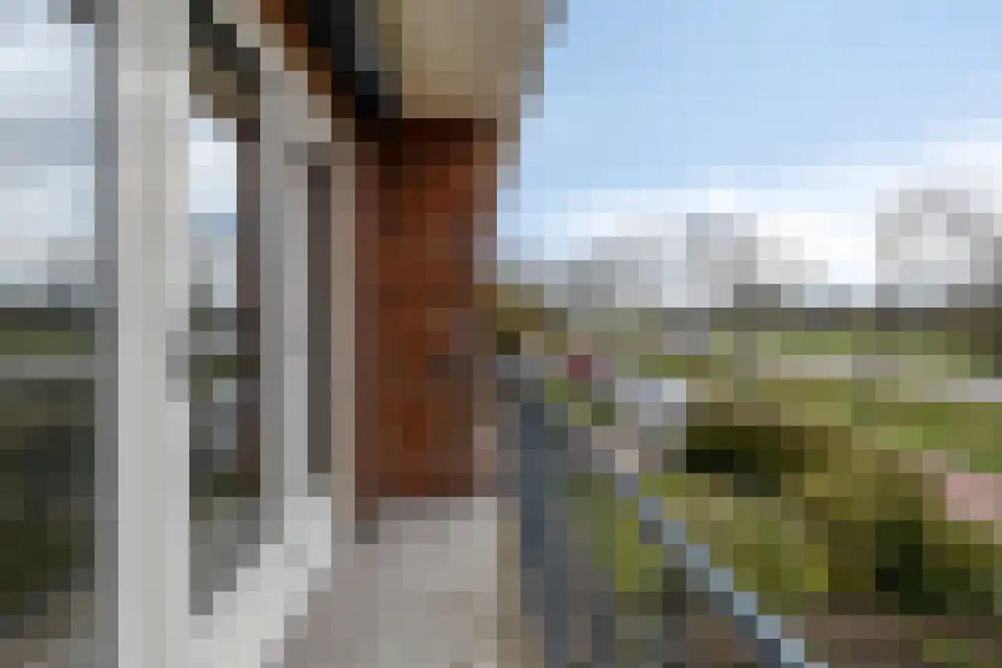Koningin Wilhelminastraat 8 Kloetinge thumbnail 24