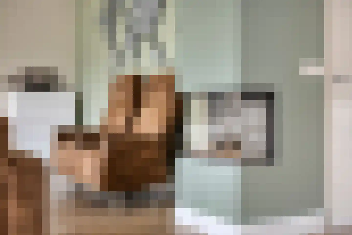 Koningin Wilhelminastraat 8 Kloetinge thumbnail 9