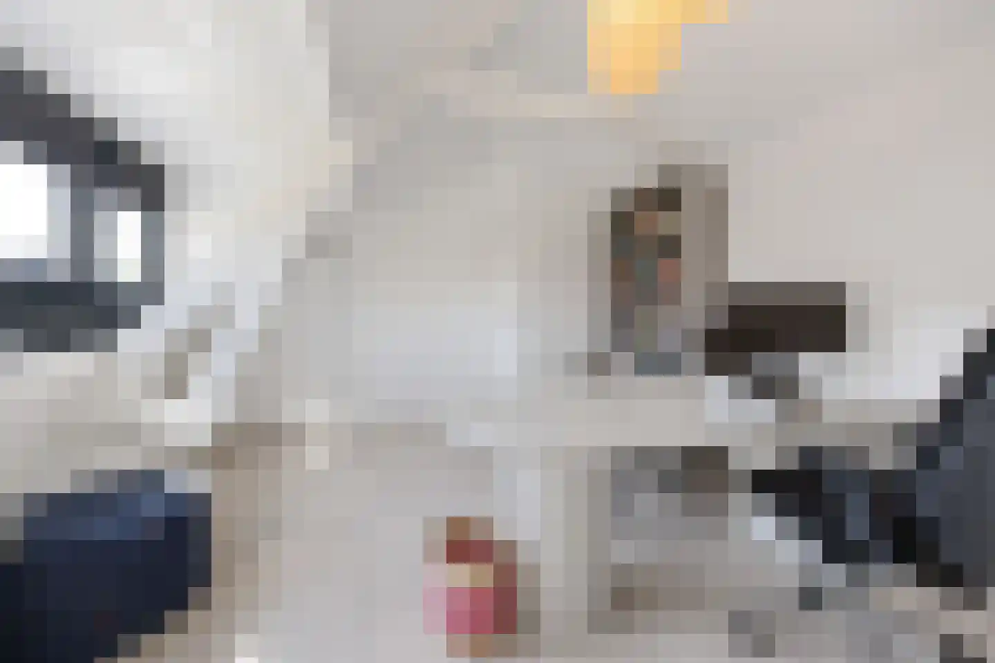 Koningin Wilhelminastraat 8 Ooij thumbnail 36