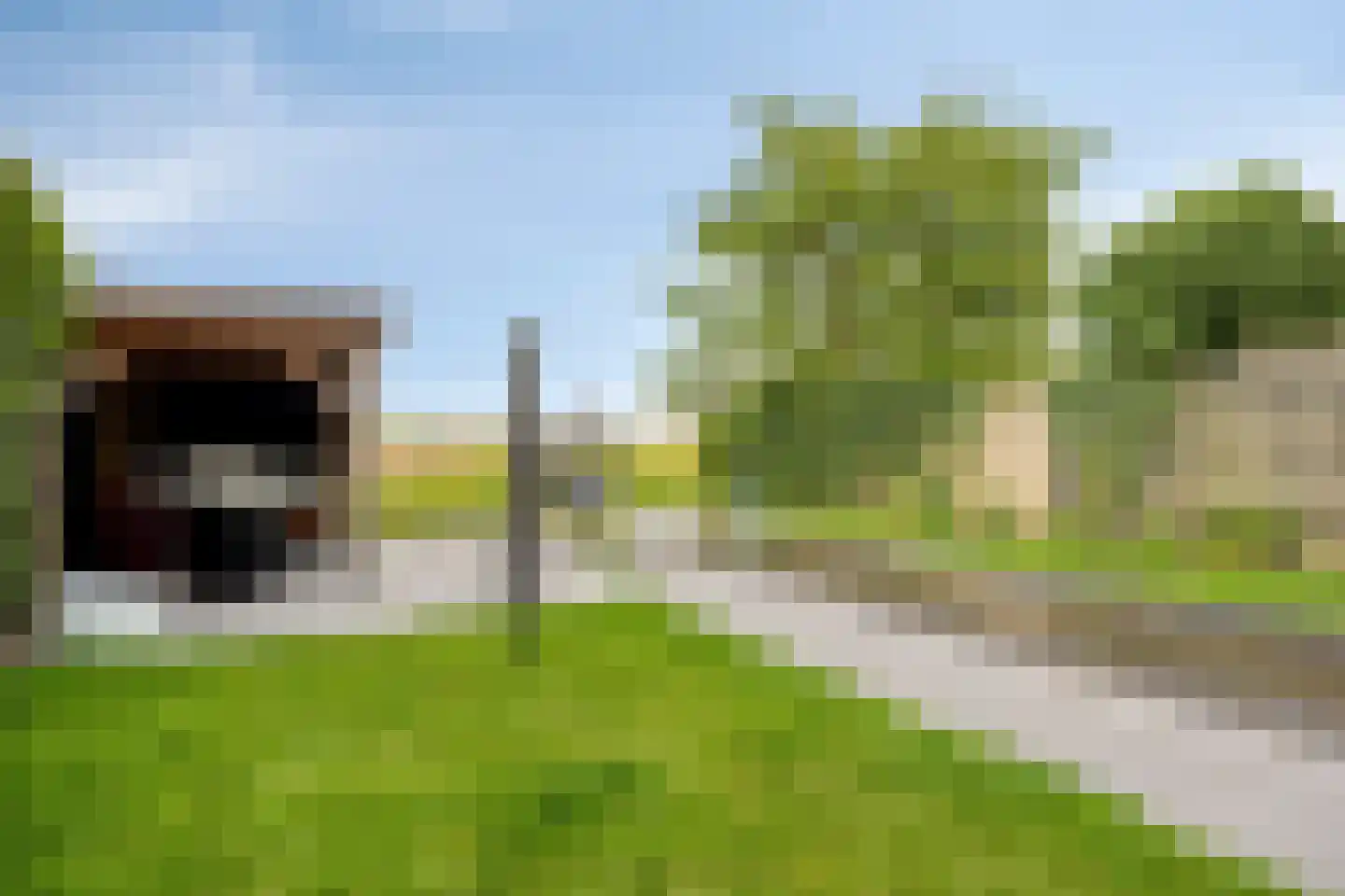 Koningin Wilhelminastraat 84 Piershil thumbnail 4