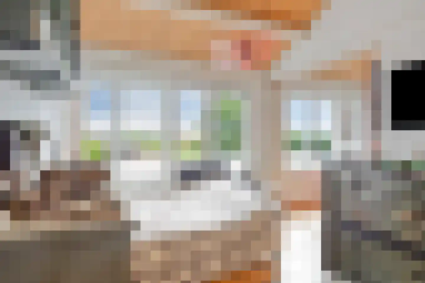 Koningin Wilhelminastraat 84 Piershil thumbnail 43