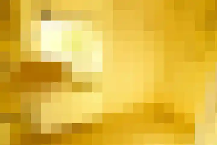 Koningin Wilhelminastraat 9 Schoonrewoerd thumbnail 10