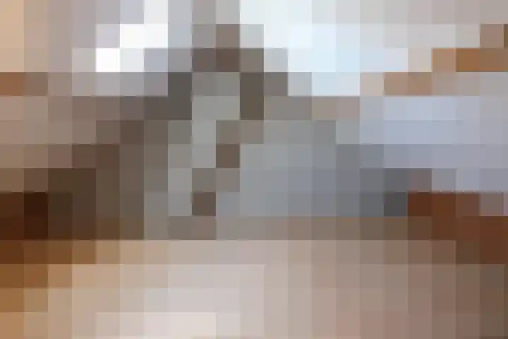 Koningin Wilhelminastraat 9 Schoonrewoerd thumbnail 11