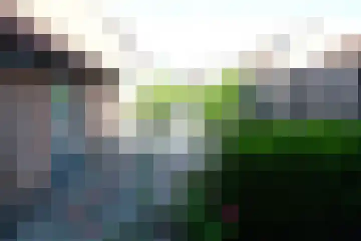Koningin Wilhelminastraat 9 Schoonrewoerd thumbnail 13