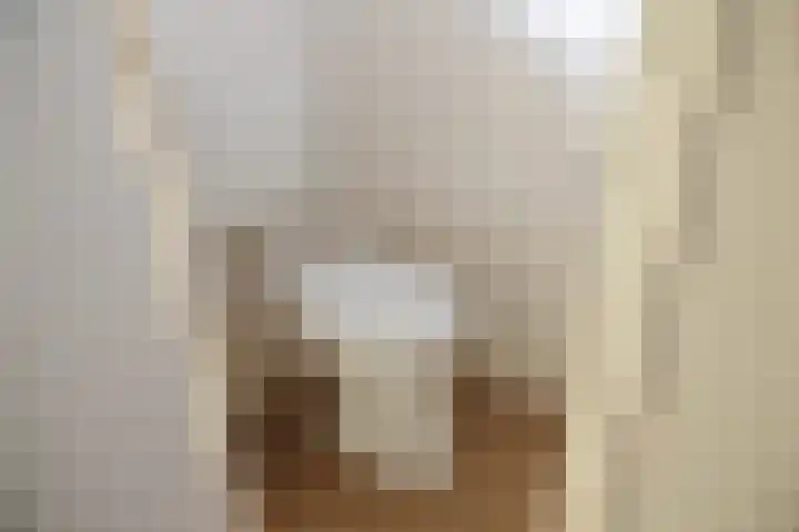 Koningin Wilhelminastraat 9 Schoonrewoerd thumbnail 6