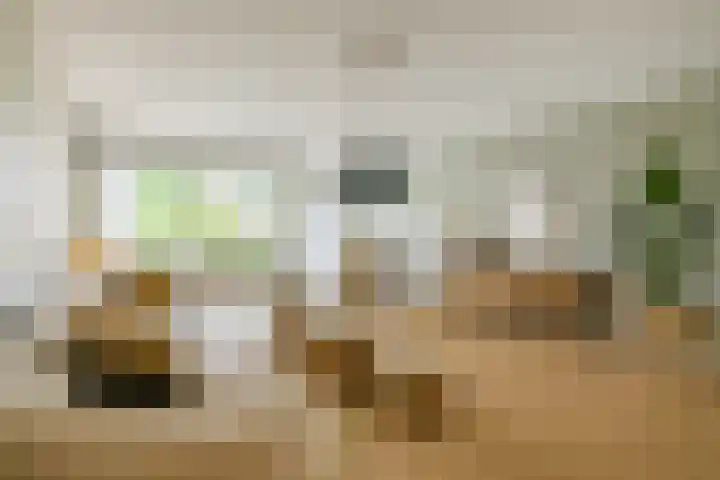 Koningin Wilhelminaweg 13 Houten thumbnail 14