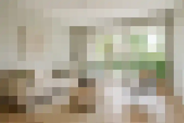 Koningin Wilhelminaweg 13 Houten thumbnail 17