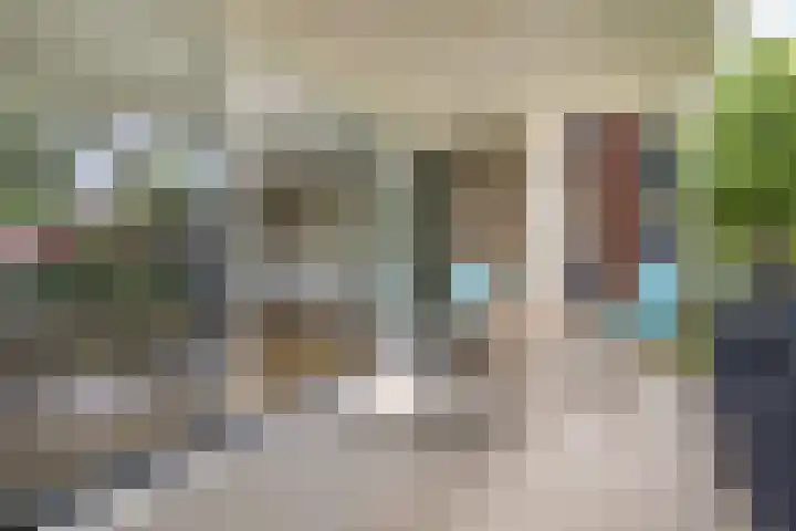 Koningin Wilhelminaweg 13 Houten thumbnail 18