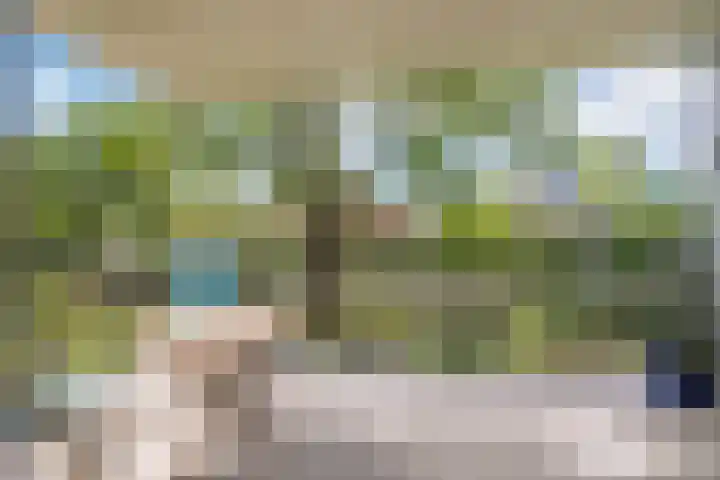 Koningin Wilhelminaweg 13 Houten thumbnail 19