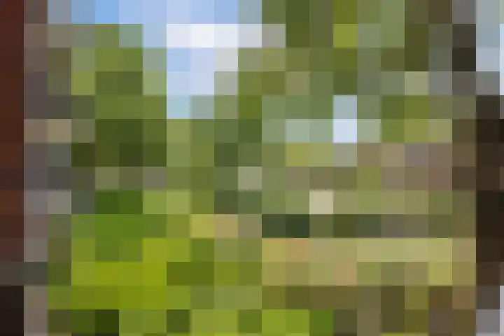 Koningin Wilhelminaweg 13 Houten thumbnail 23