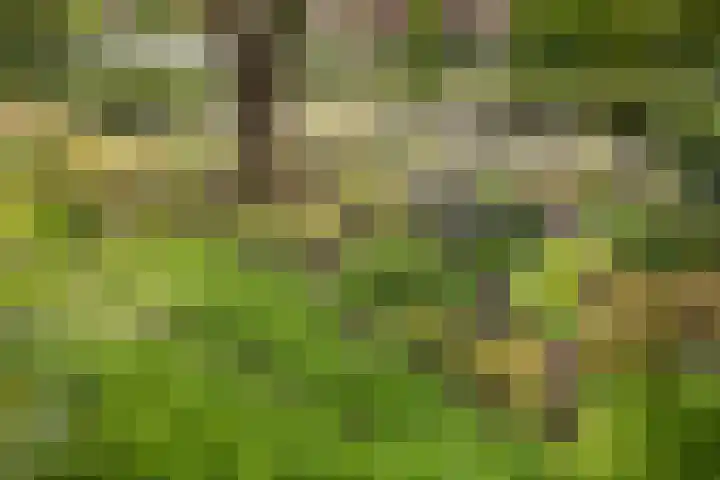Koningin Wilhelminaweg 13 Houten thumbnail 24