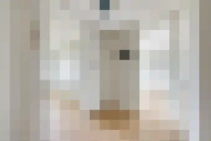 Koningin Wilhelminaweg 13 Houten thumbnail 25