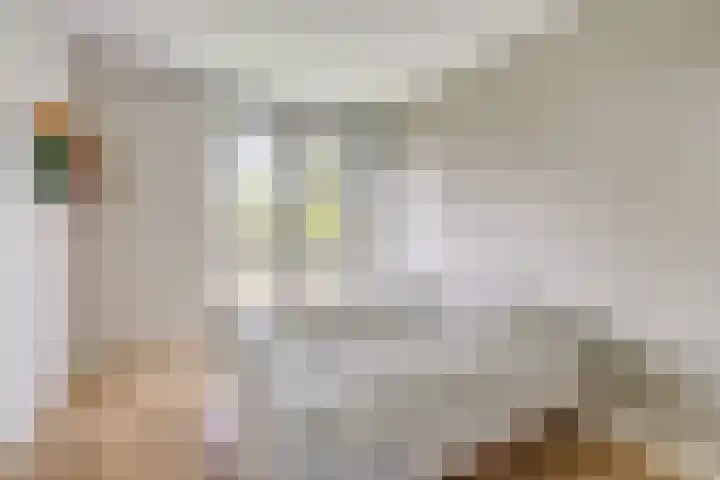 Koningin Wilhelminaweg 13 Houten thumbnail 31