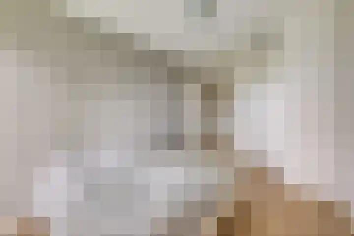 Koningin Wilhelminaweg 13 Houten thumbnail 33