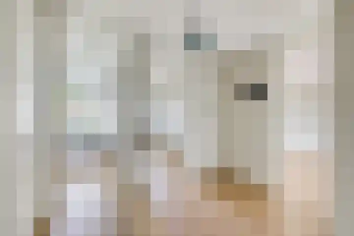 Koningin Wilhelminaweg 13 Houten thumbnail 35